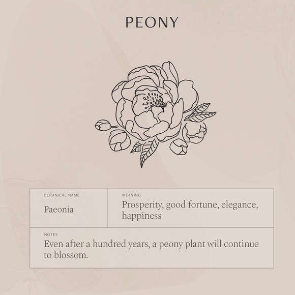 Peony November Birth Flower Engraved Boho Necklace - Picture 8 of 16